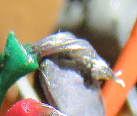 wire on volume control